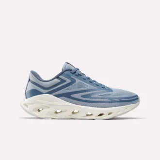 Fuel Flex Run Shoes