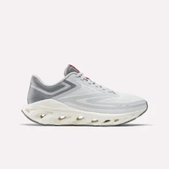 Fuel Flex Run Shoes