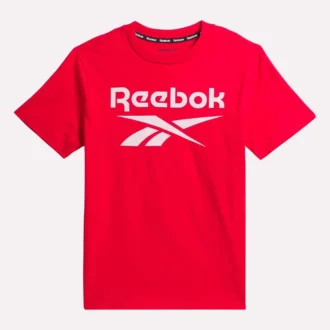 キッズ ID ビッグロゴ Tシャツ